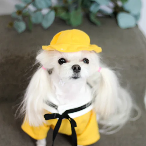 요미맘