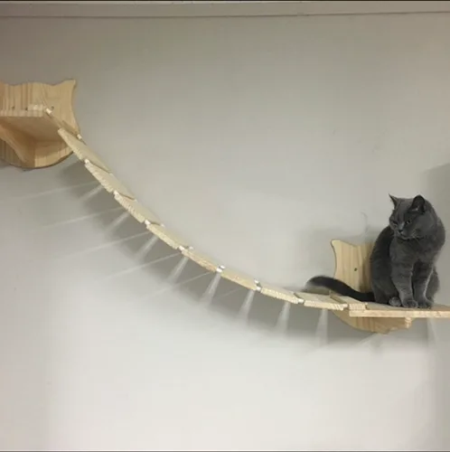행복한냥선생