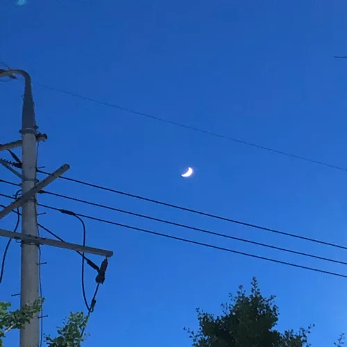 뉸뉴