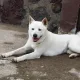 희망