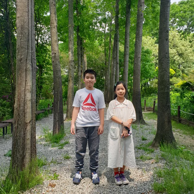유후