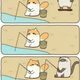 냥이