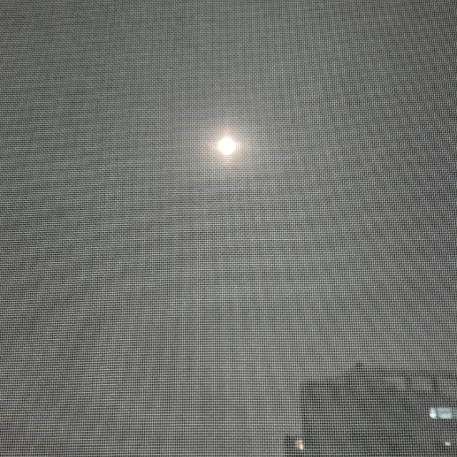 정훈