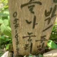 도치