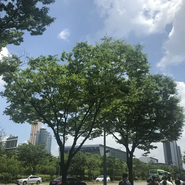 주동
