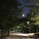 당근보다오이