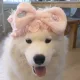히용히히