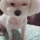 크리미