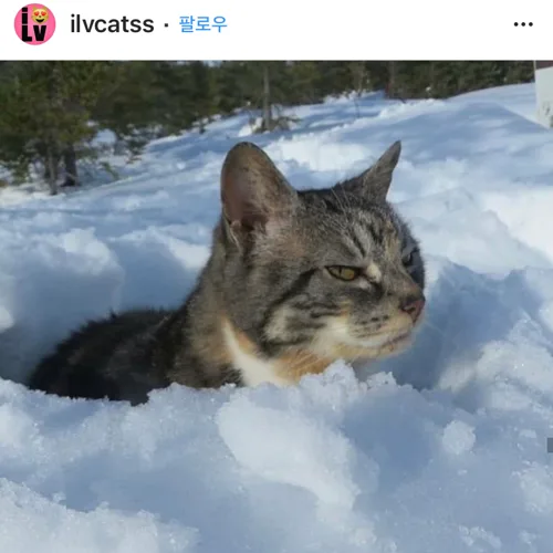 썽스르
