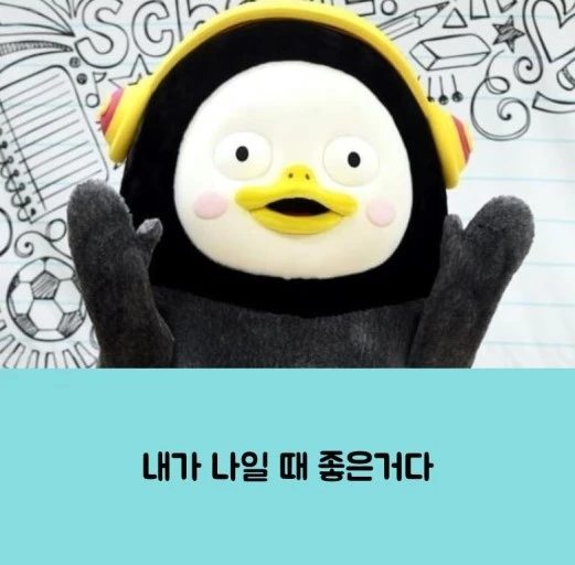 연두짹