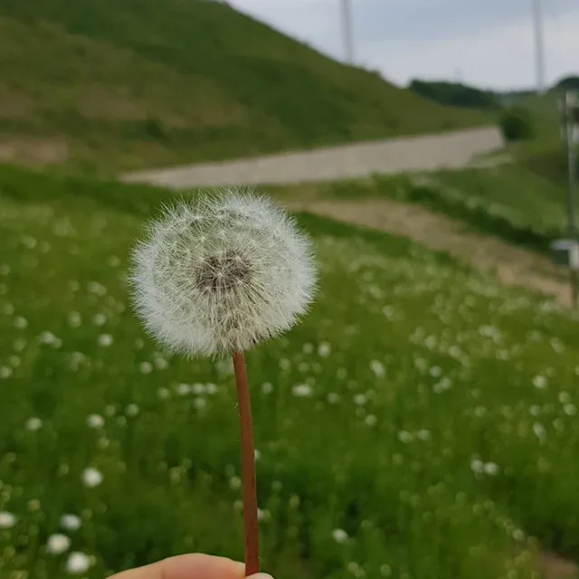 토실토실