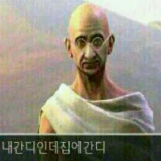 집에간디