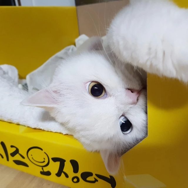 리뷰 프로필 이미지