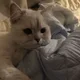 마꿍