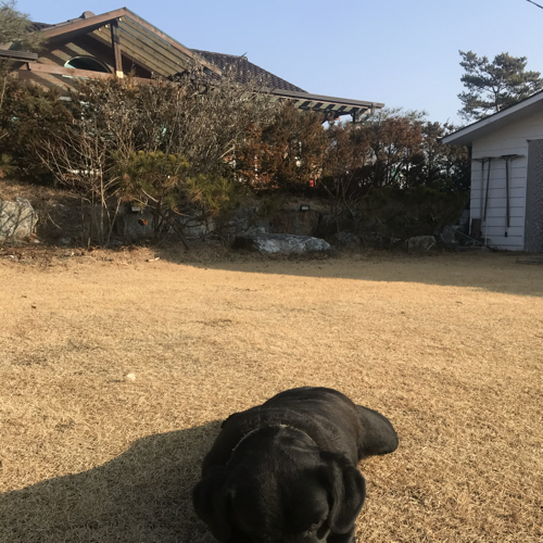 후후