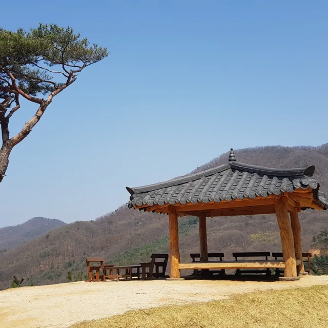 온리정품