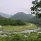 처음처럼