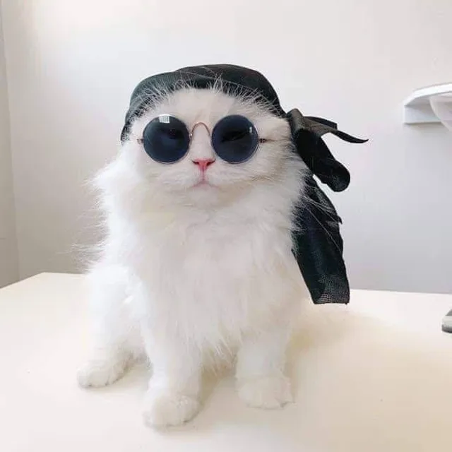 고민수