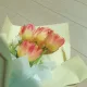 화관의마돈나