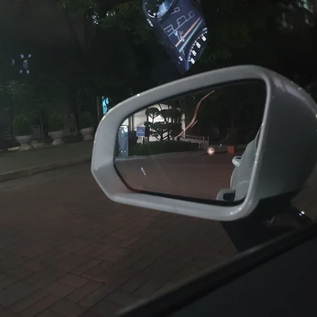 황금동물개77