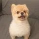 상구야