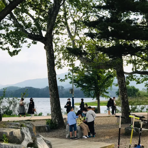 증포포동