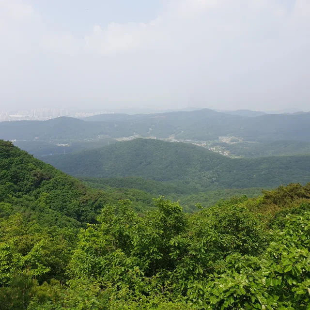 둥근달