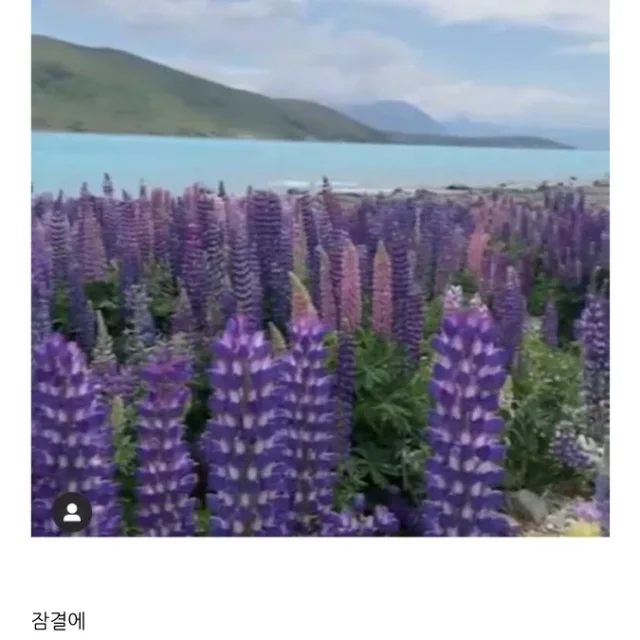 윤아맘