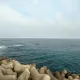 동백001