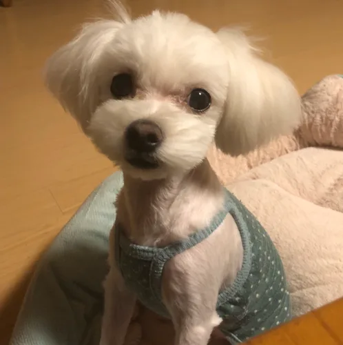 김모씨