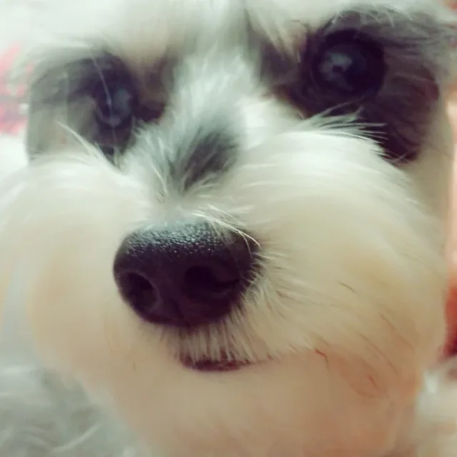 쁨쁨