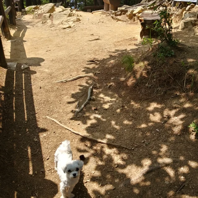 겨울이엄마