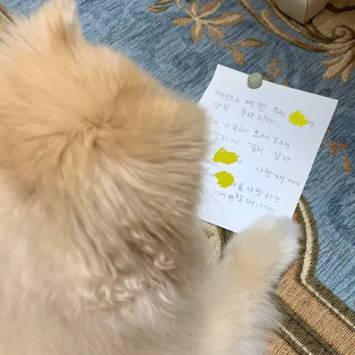 나니느냐