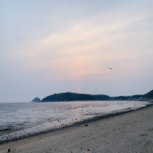 당근재미따