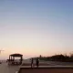 버들유
