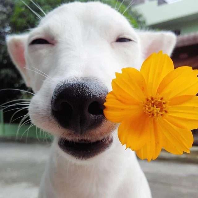 ๊ฟ์์ 