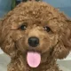 1캡틴박1
