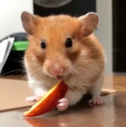 정우