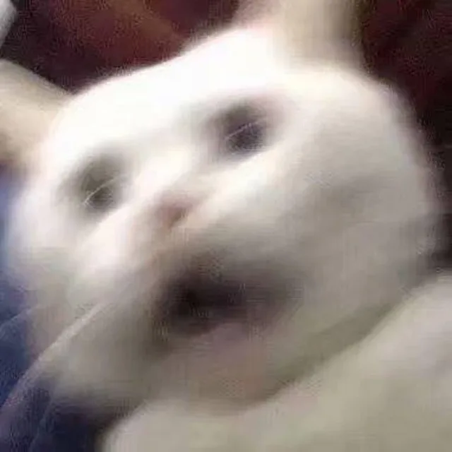 고구망