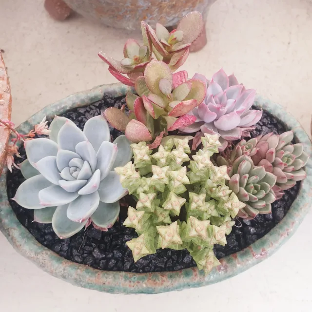 피아노