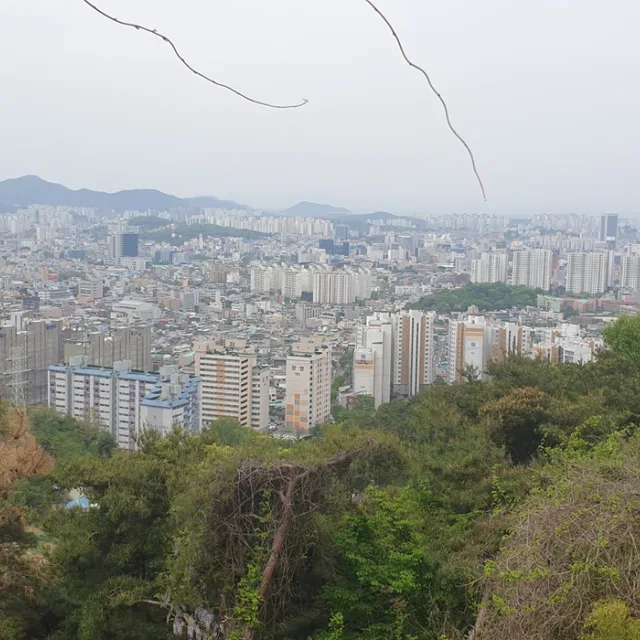 귀염봉
