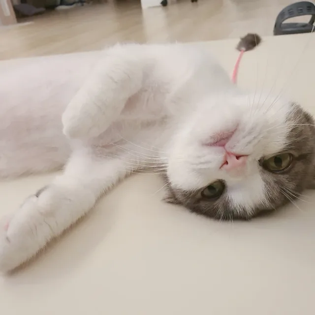 공의경계