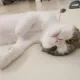 공의경계