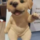 인생천운