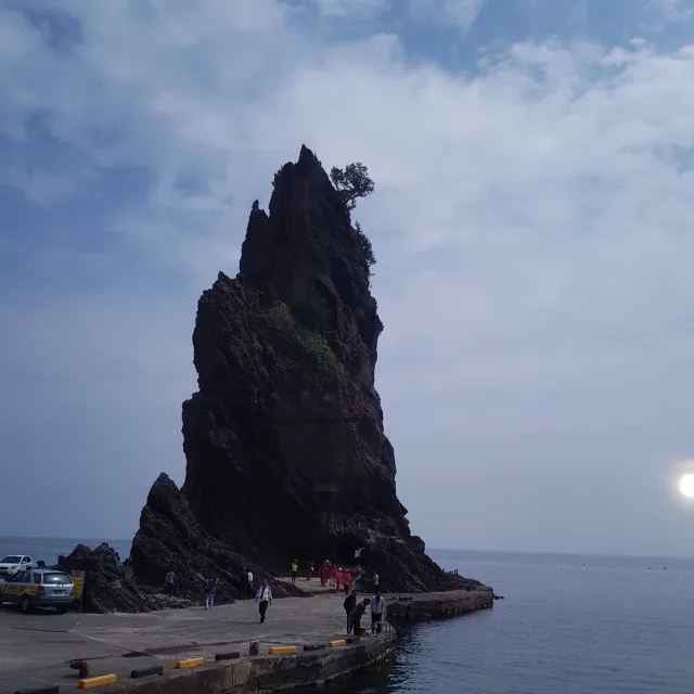 줌마