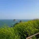 하짱