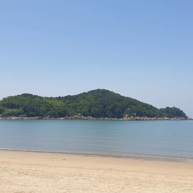 와리요니