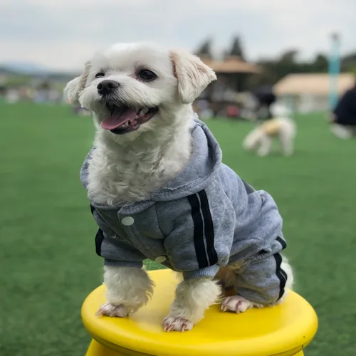 김김