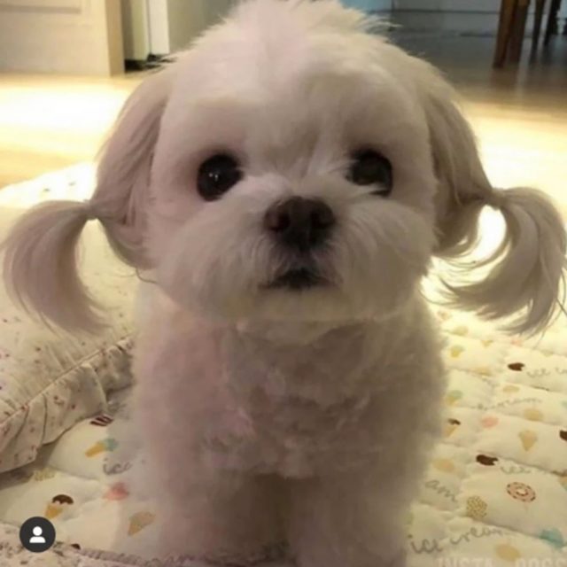 리턴