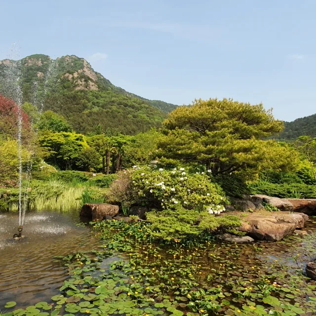 허브